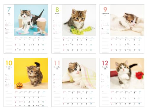 New Japan Calendar 2027 Wall Calendar The Paradose 610x425mm NK113