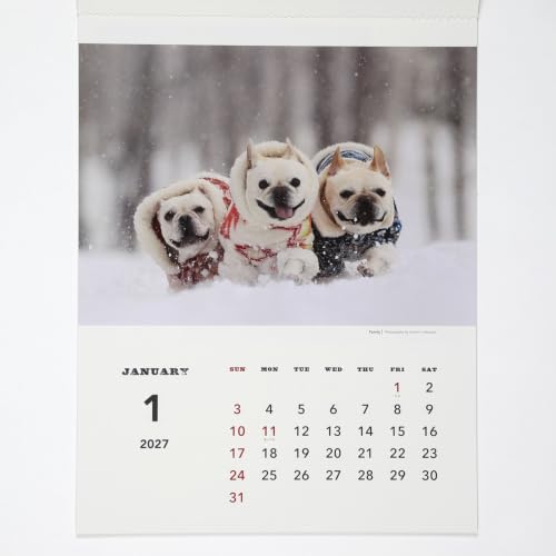 Noritsu NOLTY 2027 Desk Calendar 21 B6 C214
