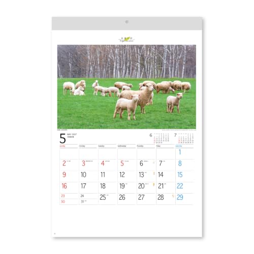 New Japan Calendar 2027 Wall Calendar Forever Japan NK142 610x425mm