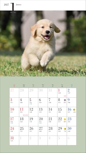 2027 Adorable Golden Retriever Calendar (Seibundo-shinkosha Calendar)