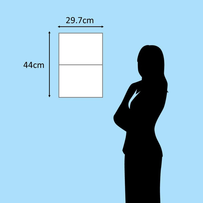 2026 MARCO's CAT CALENDAR Comical! (Yama-kei Calendar 2026)