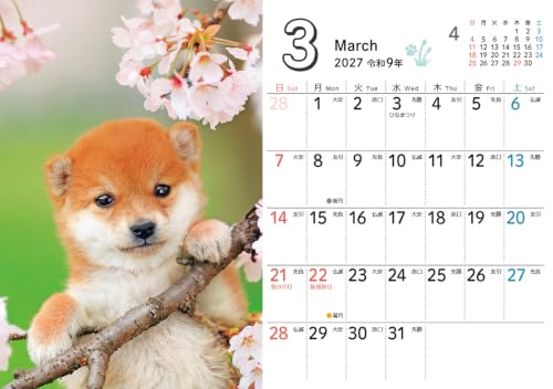 Nonbiri Shima Nyan CALENDAR 2027 (Monthly/Wall Calendar) (Impress Calendar 2027)