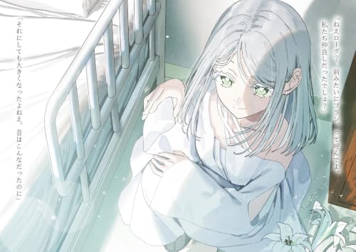 Witches Can't Be Collared (Majo ni Kubiwa wa Tsukerarenai) 4 (Light Novel)