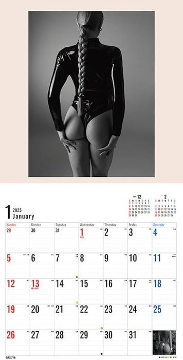 Try-X 2025 Wall Desk Calendar Bottoms CL-1701 60x30cm