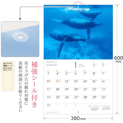Shashin Koubou Calendar 'Great Oceanic Islands OGASAWARA' 2027 Wall Calendar (with Paper Holder)