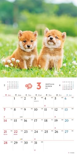 King Corporation 2027 Desk Calendar Eco Mind 130 x 145mm KC10002