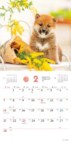 King Corporation 2027 Desk Calendar Eco Mind 130 x 145mm KC10002