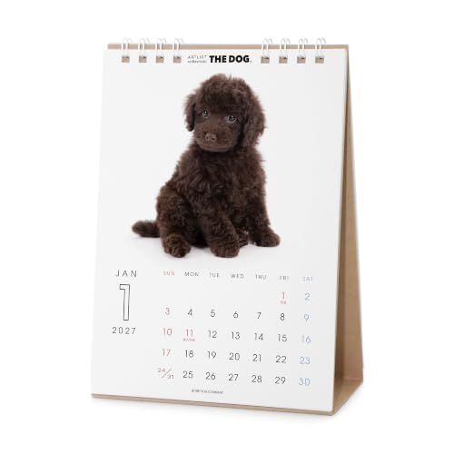 THE DOG 2027 Desk Calendar [Poodle]