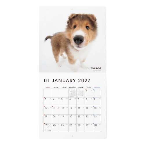 2027 Mini Calendar Mitsuaki Iwago Friends