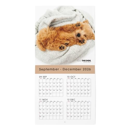 THE DOG 2027 Wall Calendar Mini Size [Poodle]