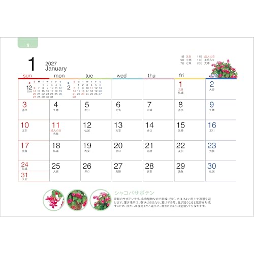 Todan 2027 Desk Calendar All Paper Green Life 12.8 x 18.4cm TD-238