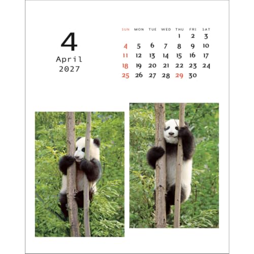 Greeting Life 2027 Desk Calendar Panda C-1768-PA