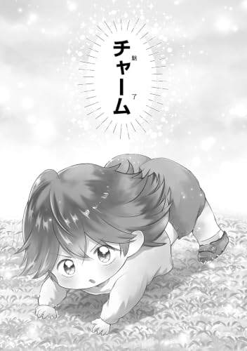 Isekai no Joushiki wa Muzukashii: Kishou de Saijaku na Hitozoku ni Tensei shita kedo Butsuri Igai de Saikyou ni Narisou desu 2