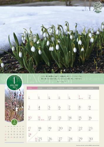 Try-X 2027 Wall Calendar Ueno Farm Hokkaido Garden 27CL-478 52x36cm