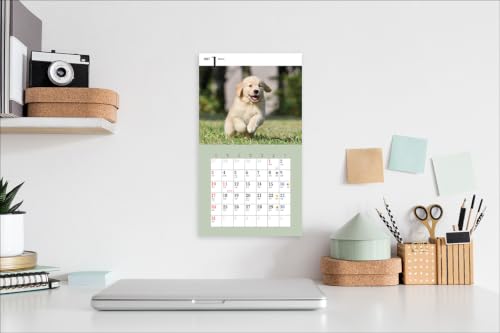 2027 Adorable Golden Retriever Calendar (Seibundo-shinkosha Calendar)