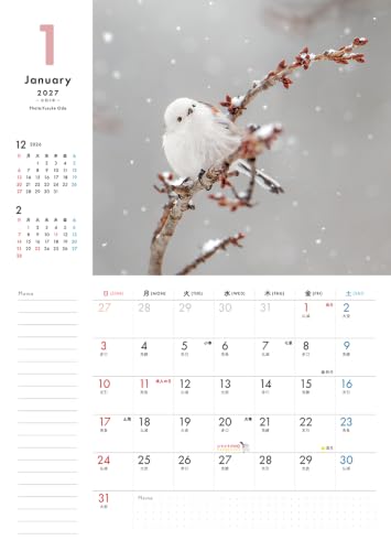 Plenty of Space Calendar: Fuwamofu Shimaenaga to Issho Calendar+Memo 2027 (Impress Calendar 2027)