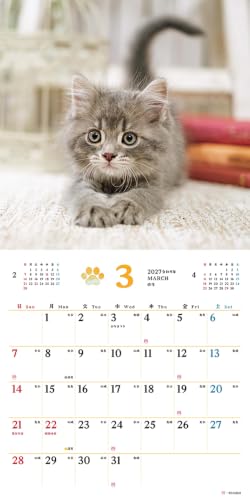 King Corporation 2027 Desk Calendar Eco Balloon 160 x 180mm KC10001