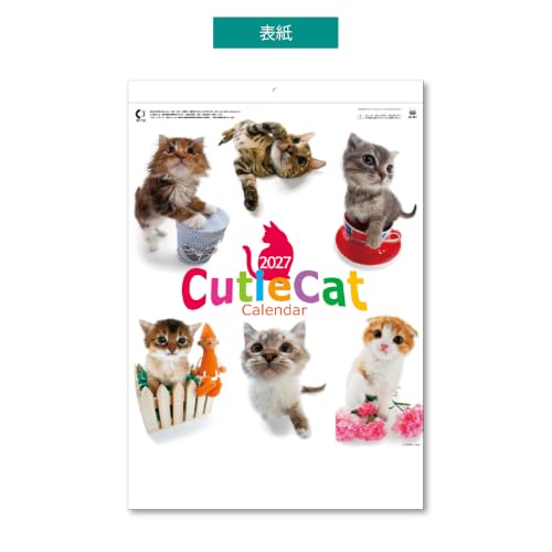 Eco Wall Calendar 2027 2-Month View Double B5 Size E91