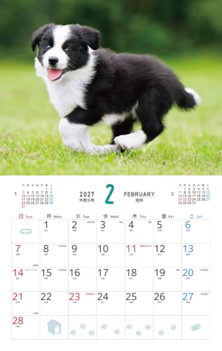 Fuwa Fuwa Wanko 2027 Calendar (Monthly/Wall Calendar) (Impress Calendar 2027)