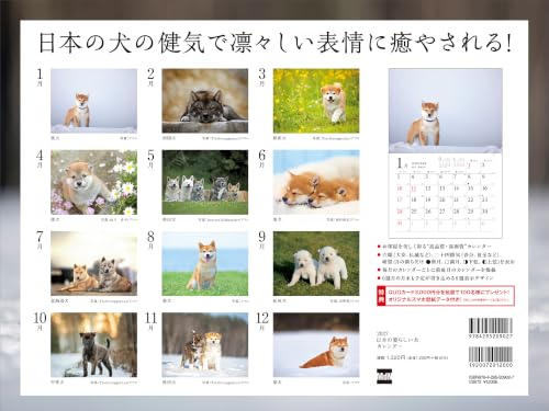 Adorable Dogs of Japan Calendar 2027 (Montly/Wall Calendar/Large)