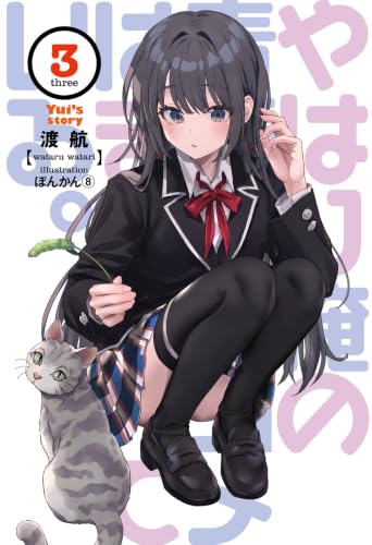 My Youth Romantic Comedy Is Wrong, As I Expected Yui's Story 3