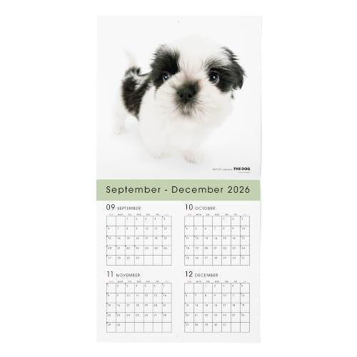 THE DOG 2027 Wall Calendar Large Size [Shih Tzu]