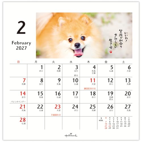 Hallmark 2027 Desk Calendar Homewanko 853402