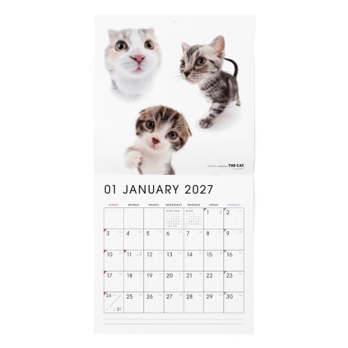 THE CAT 2027 Wall Calendar Large Size [All Stars]