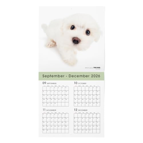 Eco Wall & Desk Calendar 2027 Modifed B7 E161