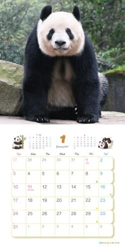 Try-X Xiang Xiang Xiaoxiao Lei Lei 2027 Wall Calendar 27CL-385 48 x 24cm