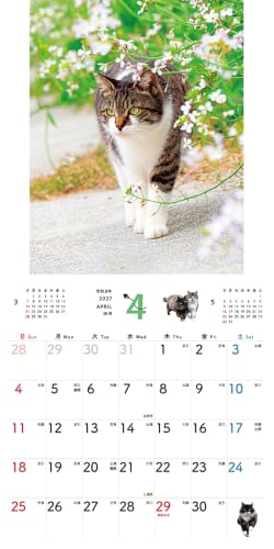 New Japan Calendar 2027 Wall Calendar Indigo Dye Monthly Calendar NK72