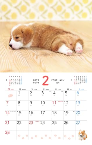 Gakken Sta:Ful 2027 Calendar Keiko Sena Megane Usagi Desk Calendar M10506