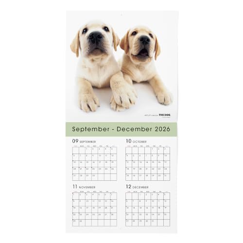 Eco Wall & Desk Calendar 2027 Modifed B5 E95