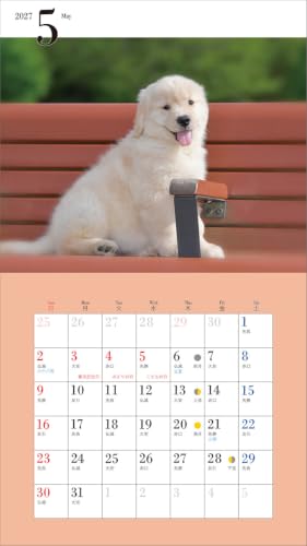 2027 Adorable Golden Retriever Calendar (Seibundo-shinkosha Calendar)
