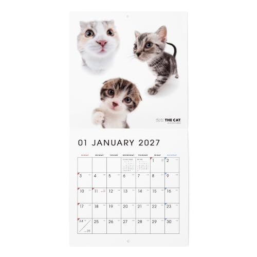 THE CAT 2027 Wall Calendar Mini Size [All Stars]