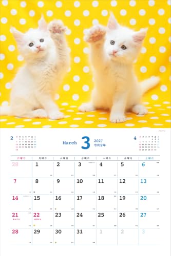 Too Cute Cat Calendar 2027