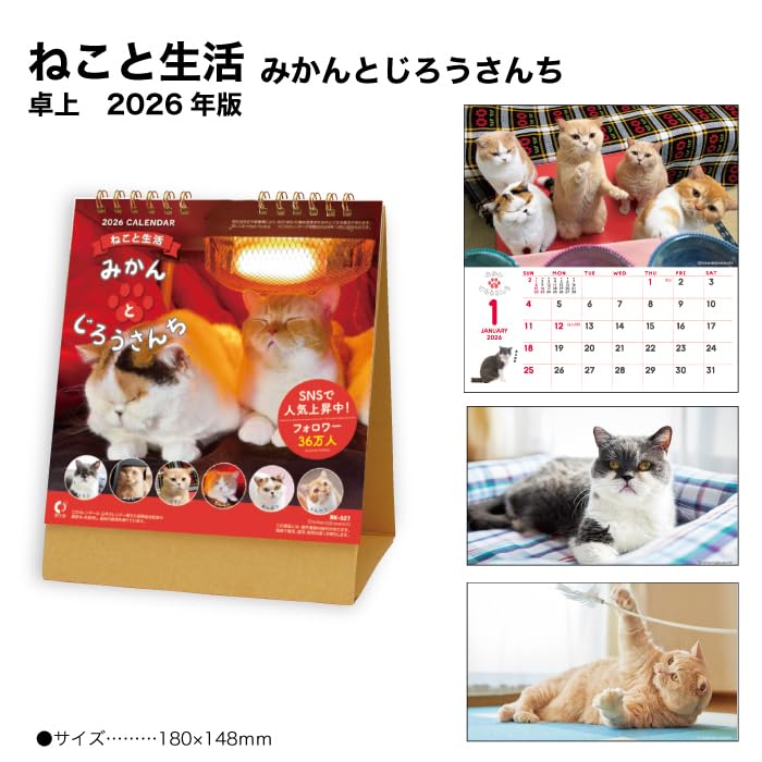 New Japan Calendar 2026 Desk Calendar Life with Cats Mikan to Jirousan Chi NK527
