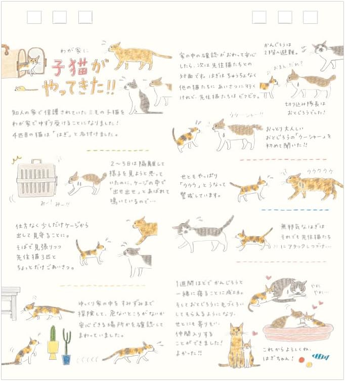 Midori 2026 Desk Calendar S Cat Pattern 31358006