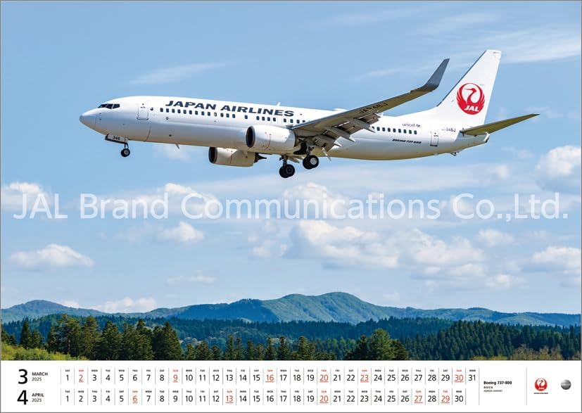 JAL 'FLEET' (Large Size) 2025 Wall Calendar CL25-1134