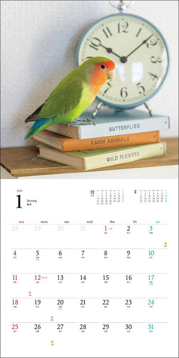 2026 Rosy-faced Lovebird Calendar