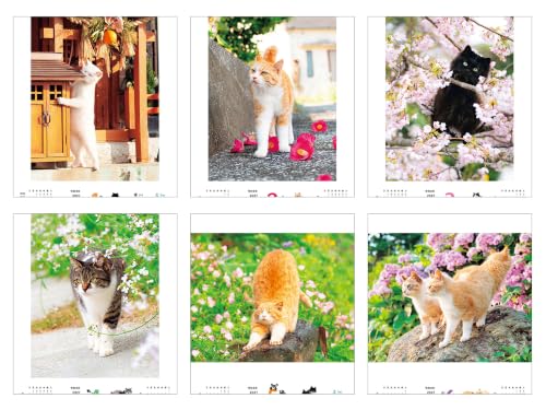 New Japan Calendar 2027 Wall Calendar Indigo Dye Monthly Calendar NK72