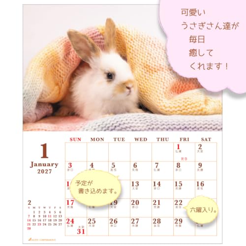Active Corporation 2027 Desk Calendar Sweet Rabbit 27ACL-571