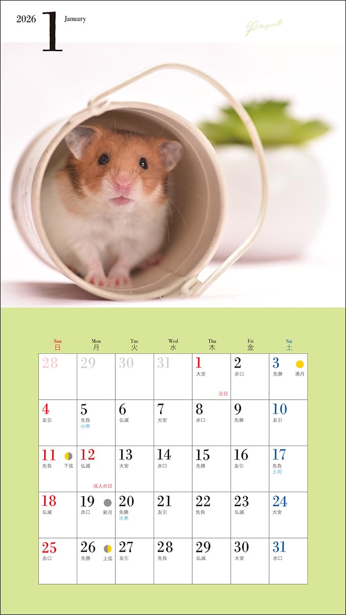2026 Adorable Hamster Calendar (Seibundo-shinkosha Calendar)