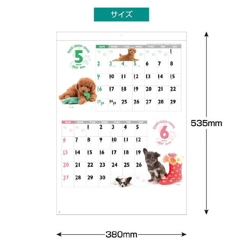 Eco Wall Calendar 2027 B5 E92