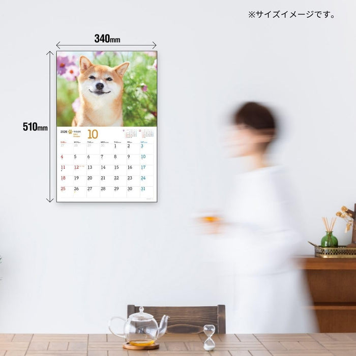 JTB Calendar Wanko 2026 Wall Calendar