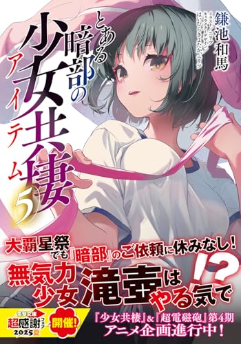 A Certain Item of Dark Side (Toaru Anbu no Item) 5 (Light Novel)