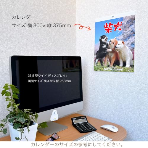 Active Corporation 2027 Wall Calendar Yoneo Morita Marugoto Shibainu 27ACL-11