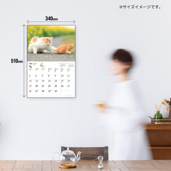 JTB Calendar Nyanko 2026 Wall Calenda
