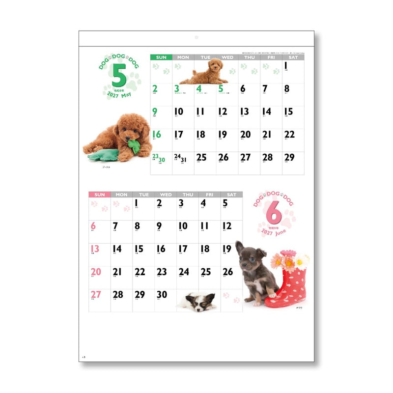 Eco Wall Calendar 2027 B5 E92