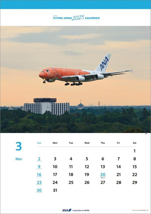 ANA 'A380 FLYING HONU' 2025 Wall Calendar CL25-1156